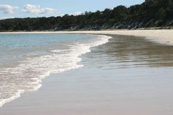 Dolphin Watch Cruises - Attractions Las Vegas 5