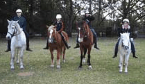 Valhalla Horse Riding - Attractions 1
