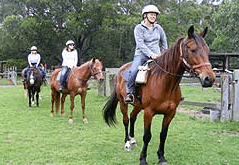 Valhalla Horse Riding - Attractions 2