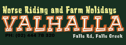 Valhalla Horse Riding - Attractions 4