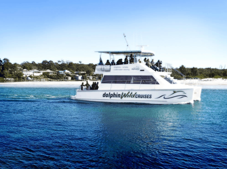 Dolphin Wild Cruises - See Attractions 1