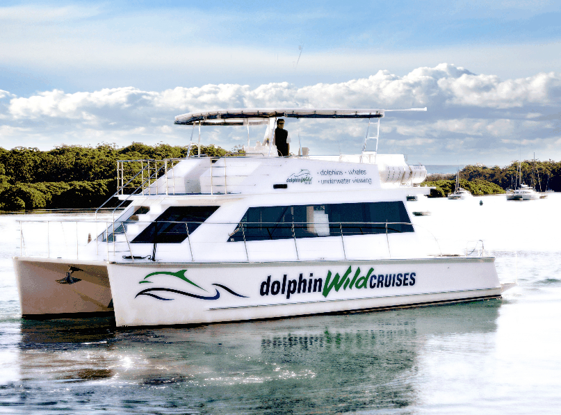 Dolphin Wild Cruises - See Attractions 2