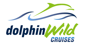 Dolphin Wild Cruises - See Attractions 4