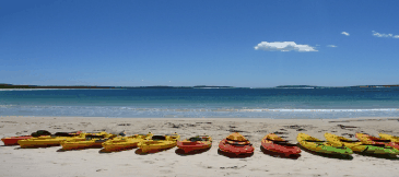Jervis Bay Kayak & Paddlesports - See Attractions 5