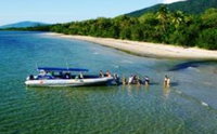 Book Cape Tribulation Accommodation Vacations Attractions Attractions