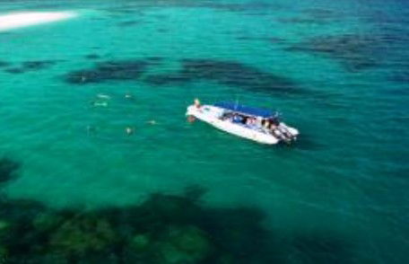 Ocean Safari - Attractions 1