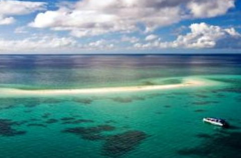 Ocean Safari - Attractions 2