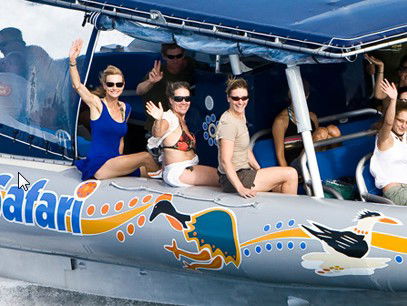 Ocean Safari - Attractions 3