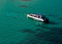 Ocean Safari - Attractions 5