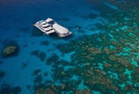 Great Adventures Reef and Green Island Cruises
