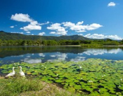 Blazing Saddles Adventures - Attractions 1