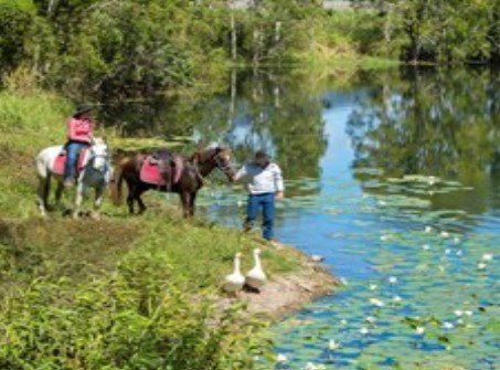 Blazing Saddles Adventures - Attractions 2