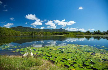 Blazing Saddles Adventures - Attractions 3