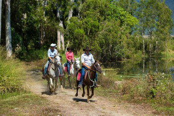 Blazing Saddles Adventures - Attractions 4