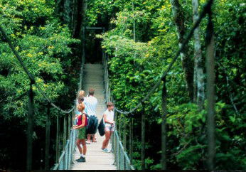 BTS Tours Pty Ltd - Attractions 4