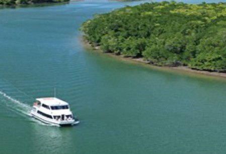 Cairns Harbour Cruises - Attractions 3