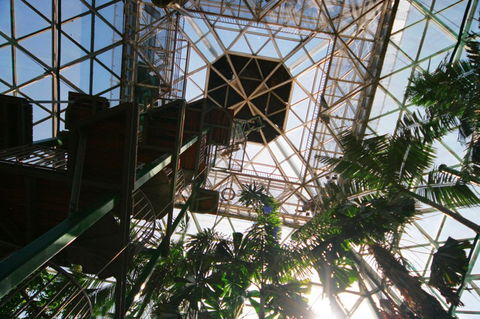 Cairns ZOOm And Wildlife Dome - Attractions 1