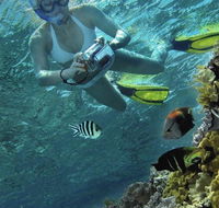 Calypso Reef Charters - Attractions