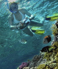 Calypso Reef Charters