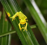 Daintree River Cruise Centre - Attractions
