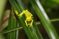 Daintree River Cruise Centre