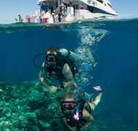 Down Under Cruise and Dive - Attractions