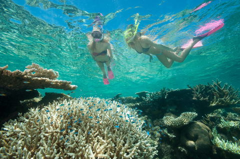 Down Under Cruise And Dive - Attractions 4
