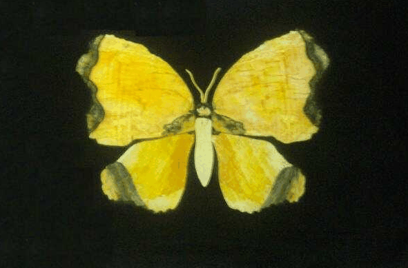 Book Home Hill Accommodation Vacations Attractions Attractions