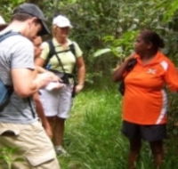 Ingan Tours - Spirit of the Rainforest Tour - Attractions