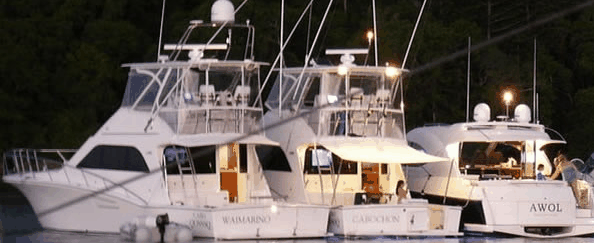 Abel Point Marina - Attractions 3