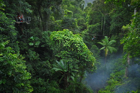 Jungle Surfing Canopy Tours And Jungle Adventures Nightwalks - Attractions 3