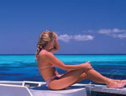 Mike Ball Dive Expeditions - Attractions 0