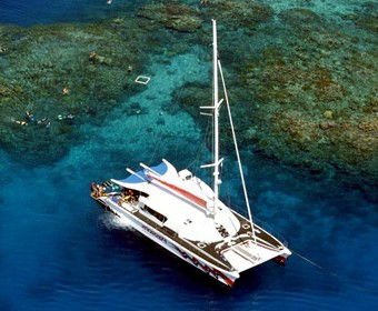 Yardarm Pty Ltd T/a Passions Of Paradise - Attractions 2