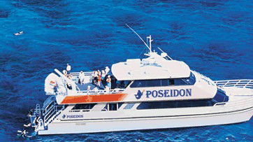 Poseidon Outer Reef Cruises - Attractions 4