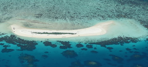 Seastar Cruises - Attractions 3