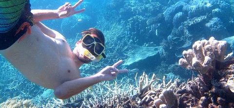 Seastar Cruises - Attractions 4