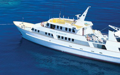 Spirit Of Freedom - Attractions 4