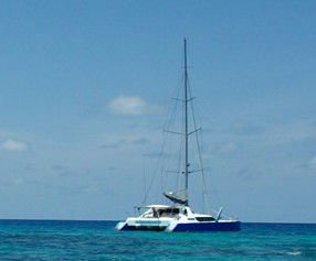 Synergy Reef Sailing - Attractions 5