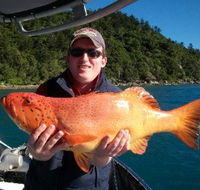 Gone Fishing by Coral Sea Fishing Charters Airlie Beach - Attractions