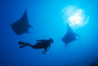 Adrenalin Snorkel And Dive - Attractions 1