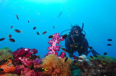 Adrenalin Snorkel And Dive - Attractions 3