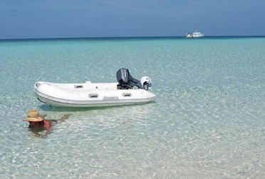 Adrenalin Snorkel And Dive - Attractions 4