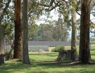 Amosfield QLD Attractions