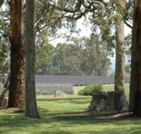 Aloomba Lavender - Attractions