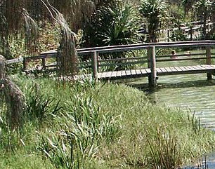 Australia Fraser Island Escape - Attractions 1