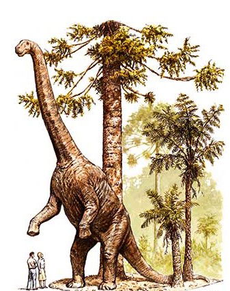 Australian Age Of Dinosaurs - Attractions 2