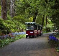 Araluen Botanic Park - Attractions