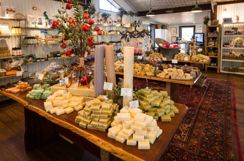 Vasse Virgin - Attractions 3