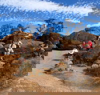 The Big Wave Rock Private Day Tour - Attractions