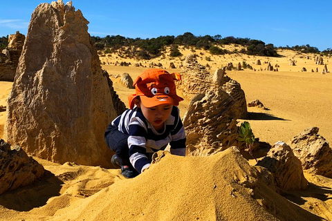 Perth Kids Explorer (Private) Day Tour - Attractions Las Vegas 3